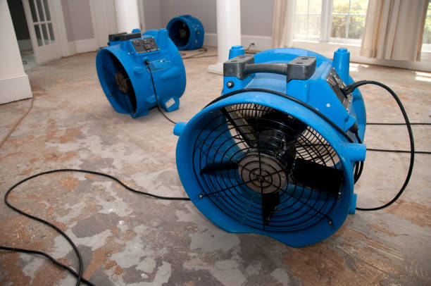 Best Flood restoration services  in Panora, IA