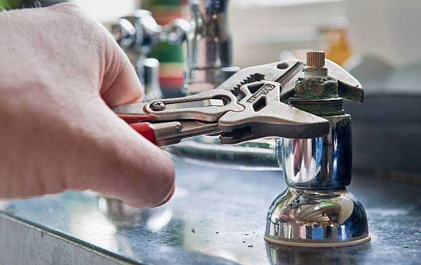 Best Water damage mitigation services  in Panora, IA
