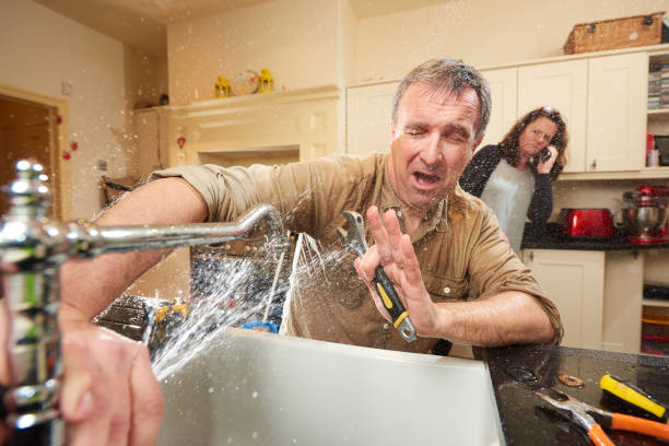 Best Flood restoration services  in Panora, IA